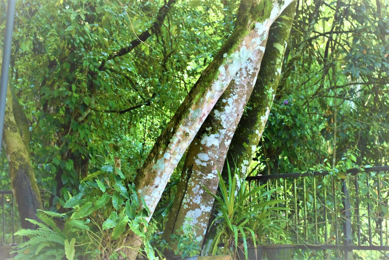 Samadhi Nature Resort Ella Esterno foto