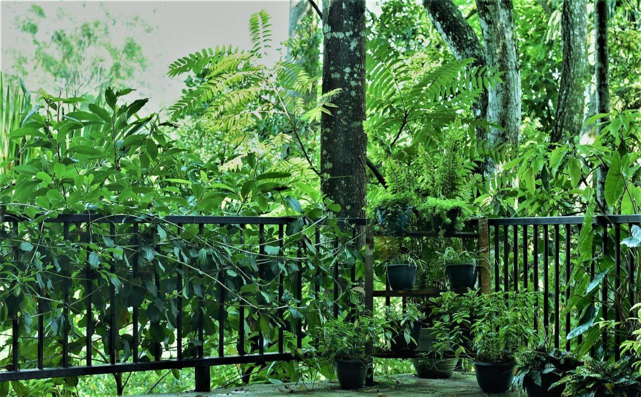Samadhi Nature Resort Ella Esterno foto