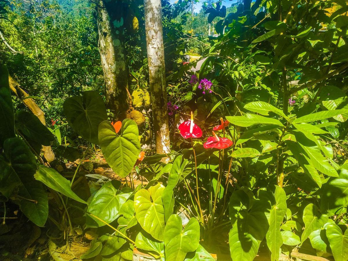 Samadhi Nature Resort Ella Esterno foto