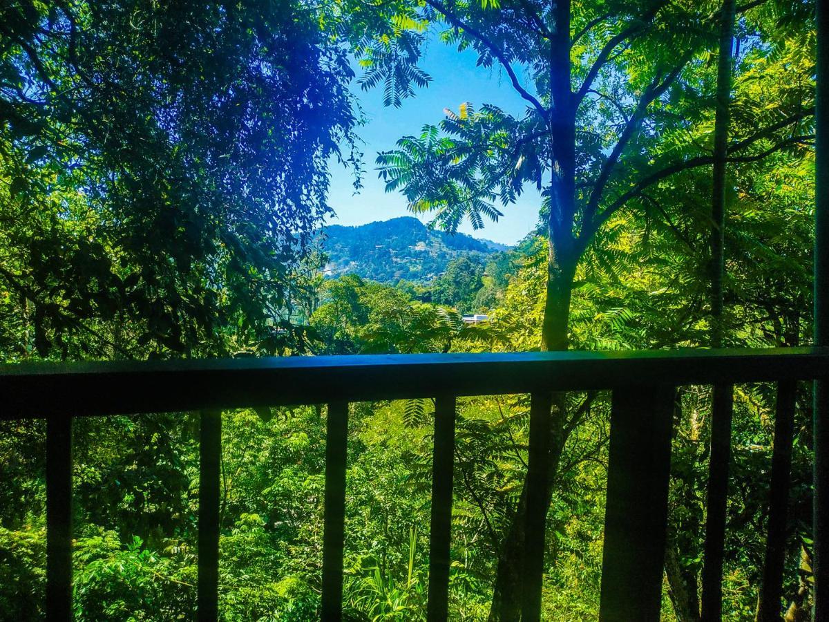 Samadhi Nature Resort Ella Esterno foto